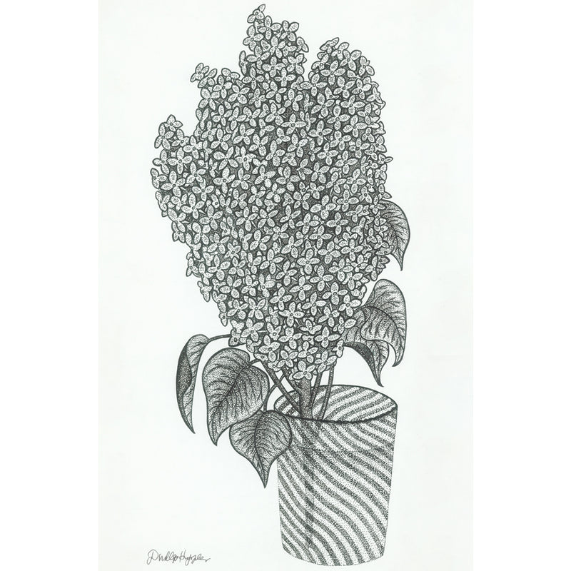 FLORA - Set of 14 Postcards