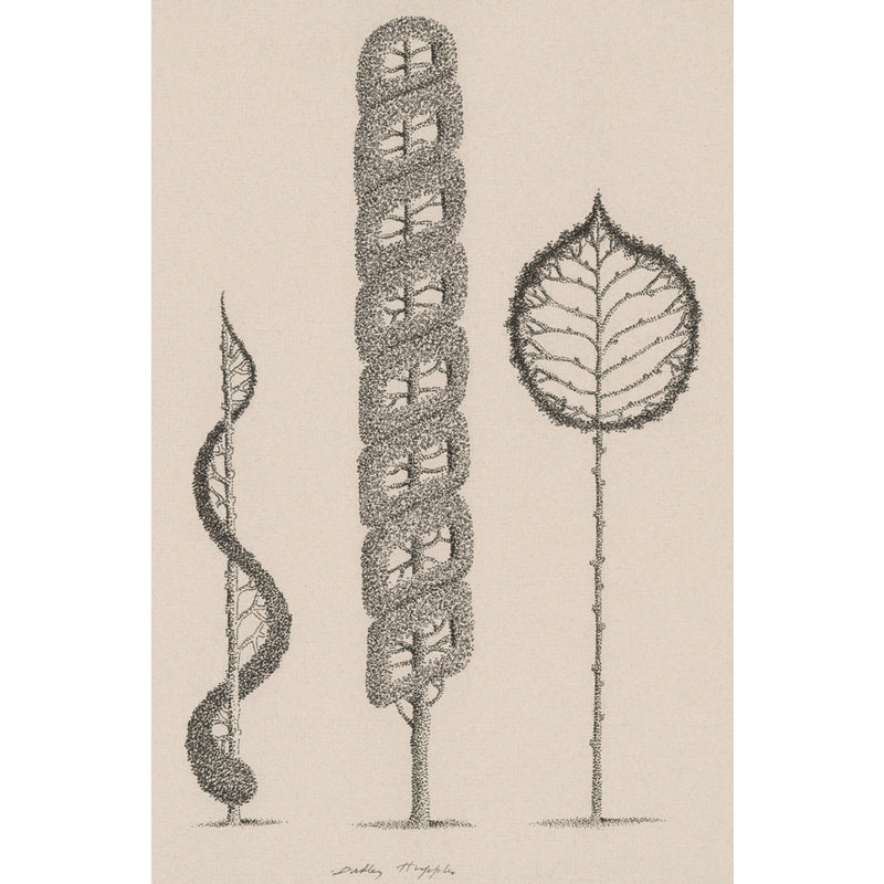 FLORA - Set of 14 Postcards