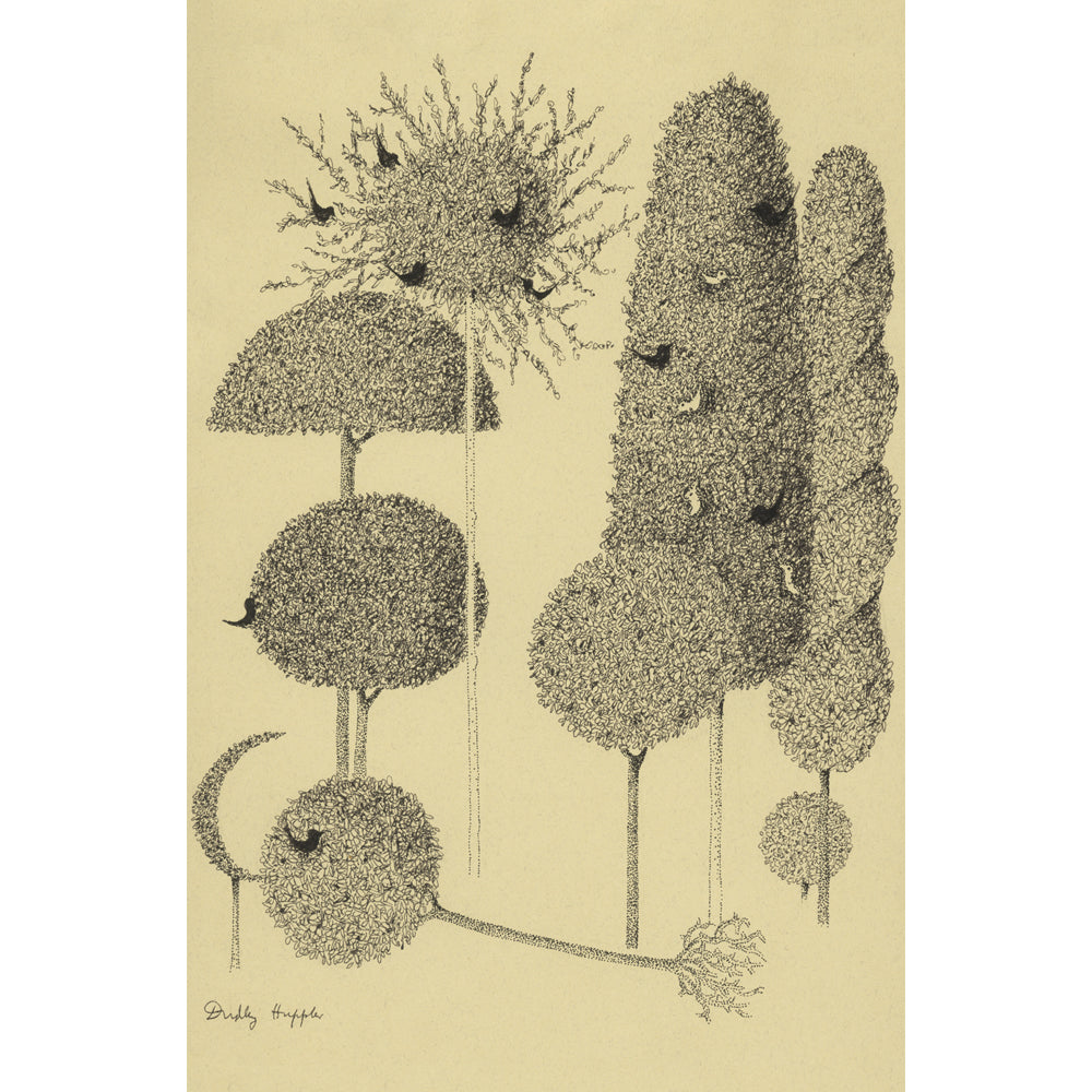 FLORA - Set of 14 Postcards